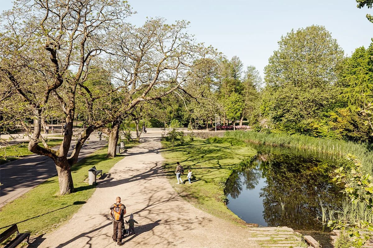 Menschen entspannen im Gras im Vondelpark, Amsterdam
